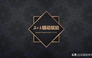 为什么说美丽天天秒“链动2+1”模式“简单粗暴”？