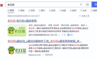 电脑怎么用设置u盘启动装系统-(怎样设置电脑u盘启动装系统)