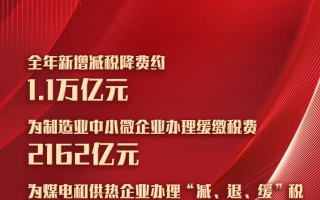 「财经政能量」2021税务账本：减税降费万亿计 偷税逃税重出击