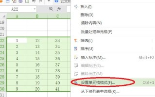 wps表格输入不了数字（wps表格怎么调数字格式）