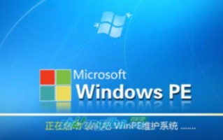 如何在pe下看是什么系统（什么是电脑的pe系统）