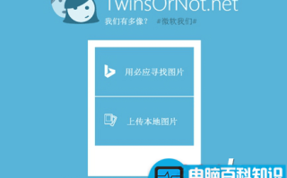 微软我们有多像TwinsOrNot怎么玩?TwinsOrNot.net使用教程
