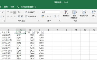 Excel实用技能—筛选功能快捷键（excel怎么使用高级筛选功能）