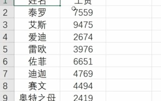 设置单元格格式自定义（单元格自定义格式设置方法大全）