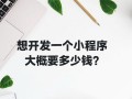 想开发一个小程序大概要多少钱