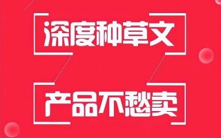 公司撮合小红书博主种草被罚40万