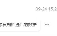 excel如何复制筛选后的数据（只复制粘贴excel筛选后的内容）