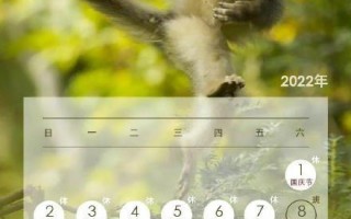 win10格式装win7系统-(win10格式化装win7)