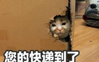 老毛桃pe制作工具-()