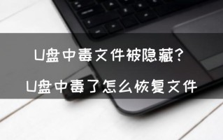 u盘出现木马隐藏文件如何处理-(u盘出现木马隐藏文件如何处理)