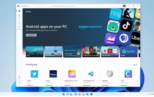 电脑休眠时间怎么设置（windows11电脑休眠时间怎么调）