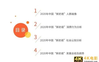 中国“新奶爸”消费行为及发展趋势分析报告