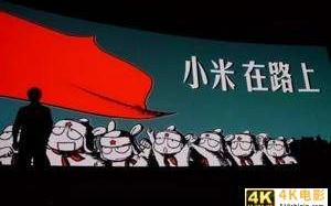 小米迅速开除不慎言的高管，在于忧虑高端之路再受挫折