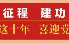 党建铸魂强根基 党旗引领兴税路——党的十八大以来税务系统党的建设工作综述