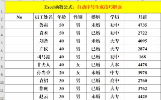 excel表格怎么自动生成序号（Excel中自动序号的生成技巧）