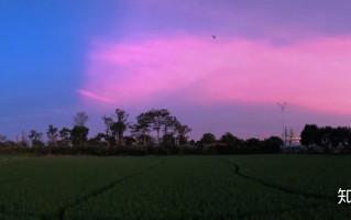 社群运营：四阶段一周期