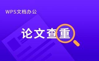 wps怎样查重（wps论文怎么查重步骤）