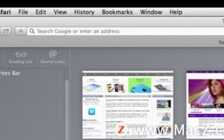 清除cookie数据（如何删除Mac电脑中的Cookies）