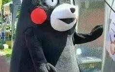 怎么清理电脑C盘大文件（电脑清理c盘垃圾的正确办法）