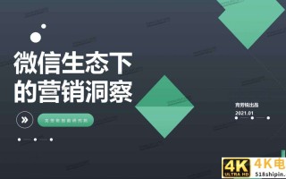 微信生态下的营销洞察报告（克劳锐）