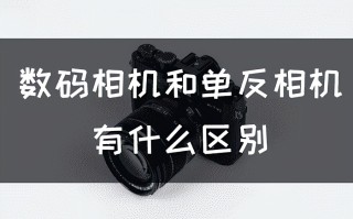 单反相机是什么意思（数码相机和单反相机有什么区别）