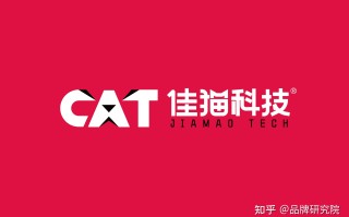 国内抖音代运营公司十大排名（十大抖音运营公司）