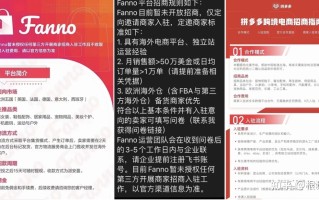 从海外营销角度分析，拼多多出海能成功吗？