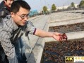 农村养龙虾一亩一般赚多少，龙虾养殖一亩利润多少钱？