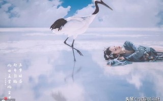 bios怎么设置显存容量（电脑主板bios设置详解）