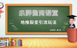 微商起盘胡小胖：微商地推裂变引流玩法解析 - 微商操盘手课堂