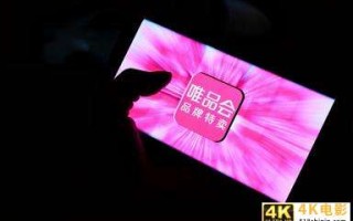 唯品会Q4财报解读：活跃用户大涨37%，股价错杀须得正名