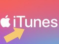 win7专业版装不itunes-(win7专业版装不上ie11)