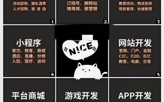 软件开发定制