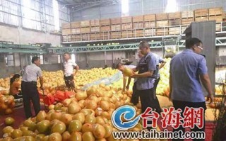 今年平和蜜柚成熟期迟一周 国庆期间口感最佳