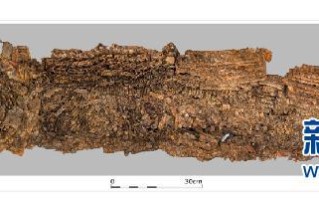 文件夹恢复专家2003中文版-(文件恢复教程)