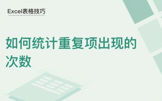 重复数快捷键（Excel表格如何统计重复项出现的次数）