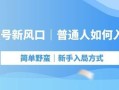 视频号带货红利，靠发视频居然日入过万，新手小白也能快速 ... ...