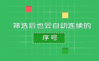 wps怎么拉序号（wps表格筛选后如何重新按顺序编码）