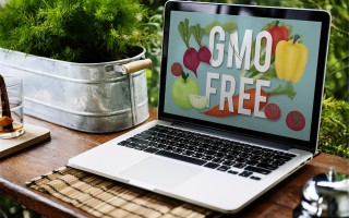 win7防火墙设置在哪（win7防火墙正确设置方法）