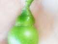 写日记的第4天：行政是干嘛的？