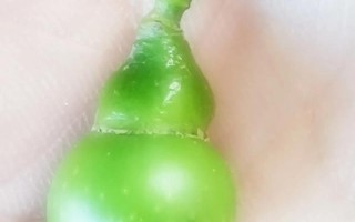写日记的第4天：行政是干嘛的？