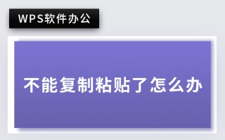 wps不能粘贴（wps突然无法复制粘贴怎么办）