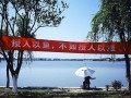 写给所有站长：其实没必要参加SEO培训