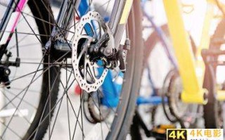 青桔杠上哈啰 共享电单车资本局2021胜负几何？
