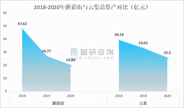 2021年中国社交电商行业市场规模及重点企业对比分析「图」-第7张图片-90博客网