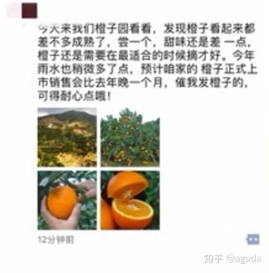 微信营销文字模版，迅速提升销量-第2张图片-90博客网