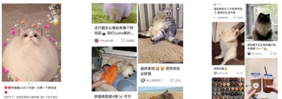 小红书运营干货之7大模块深度分析小红书运营推广！-第2张图片-90博客网