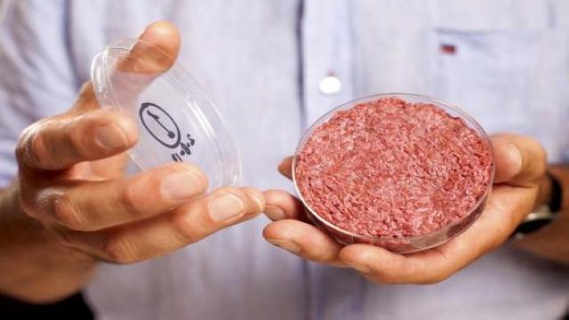 疫情间美国闹“肉荒”怎么办？豆腐、人造肉成热门替代-第1张图片-90博客网