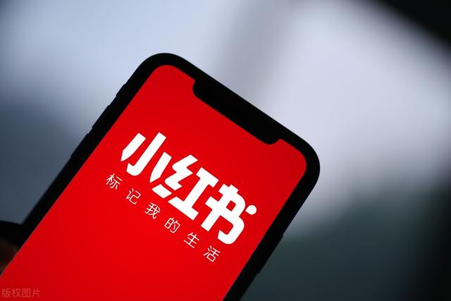 小红书种草攻略，教你玩转社交电商-第1张图片-90博客网