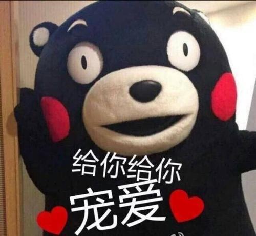 小红书超级干货文字教程，手把手教你从零开始运营账号-第9张图片-90博客网